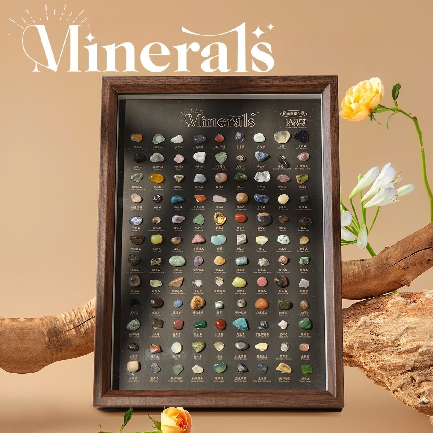 Crystal & Mineral Specimen Collection (108 pcs) – Perfect Gift & Decoration